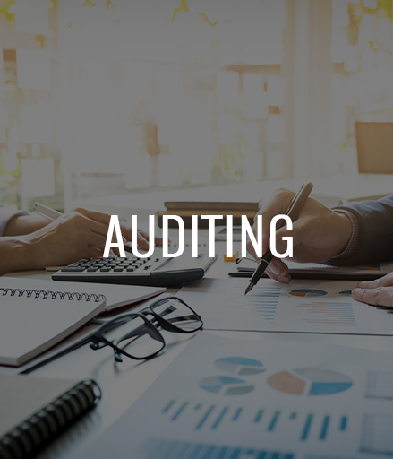 auditing3